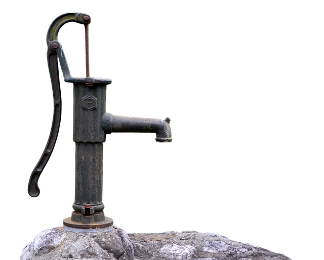 주방 자동 물펌프 위생 관리의 중요성