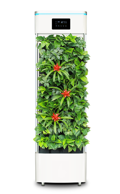 차량용 공기청정 필터 교체 이미지