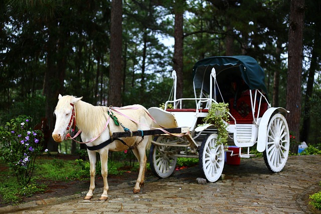차량 내부와 목쿠션 이미지