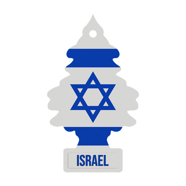 다양한 종류의 차량용 방향제 클립 디자인 비교 이미지