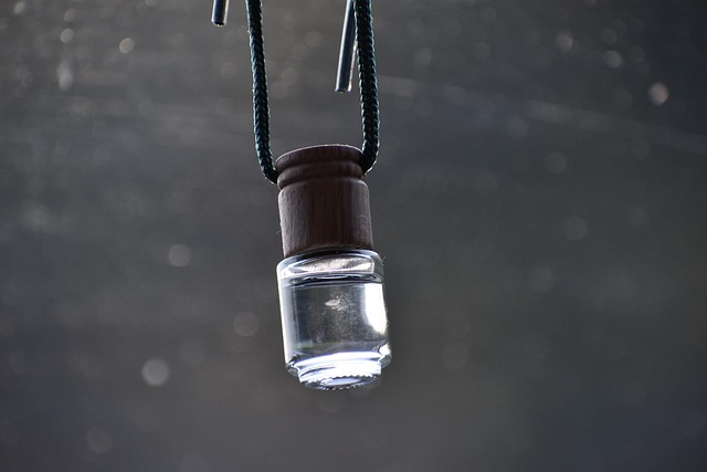 차량 송풍구에 단단히 고정된 방향제 클립 이미지