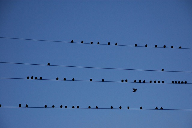 책상 파티션 설치 전후 비교 이미지