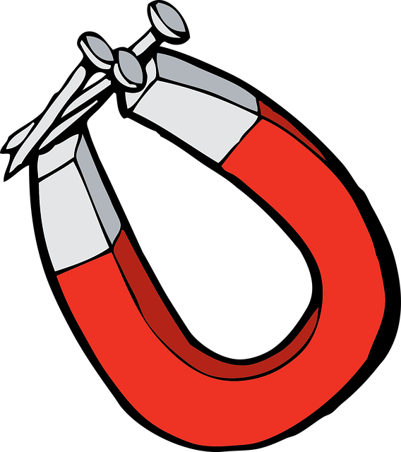 자석 팔찌에 고정된 다양한 종류의 나사들